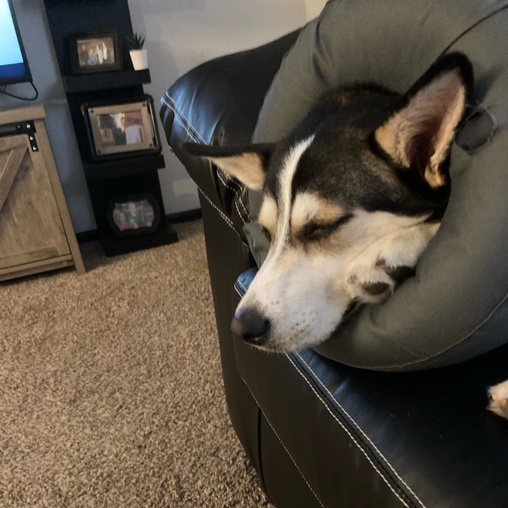 Meet your Posher, Lindsey